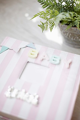 포토 JPG 스튜디오촬영 식물 잡화 화분 화초 생활용품 실내 근접촬영 사람없음 아웃포커스 장식 아기용품 아기 풀 추억 앨범 오브젝트 가랜드 기념사진 국내포토 뷰포인트 컨셉 촬영기법 사람 내부 파티용품 파일형식