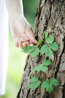 포토 JPG 주간 나무 식물 라이프스타일 손 여자 여유 신체 자연 휴식 한명 사람 근접촬영 야외 아웃포커스 신체부위 만지기 담쟁이덩굴 덩굴 숲속 숲 상쾌 나무기둥 국내포토 자연요소 1 감정 뷰포인트 컨셉 모션 촬영기법 생활 생태계 파일형식