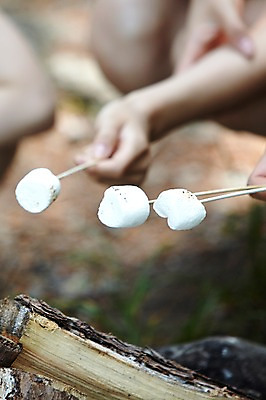 포토 JPG 주간 나무 라이프스타일 손 음식 신체 휴식 요리 사람 야외 아웃포커스 신체부위 캠핑 꼬치 장작 구이 상쾌 꼬치구이 마시멜로우 국내포토 자연요소 식물 감정 컨셉 레저 디저트 촬영기법 생활 파일형식