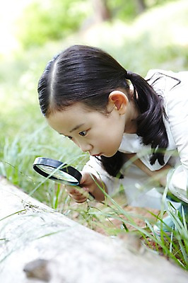 포토 JPG 주간 나무 식물 라이프스타일 응시 여자 어린이라이프 어린이 자연 돋보기 한명 들기 사람 앉기 동양인 소녀 상반신 야외 라이프 아웃포커스 유치원생 한국인 관찰 체험학습 풀 확대 통나무 나무토막 자연학습 여자만 여자한명만 어린이만 소녀만 소녀한명만 국내포토 자연요소 1 시선 모션 촬영기법 인종 생활 체험 생태계 파일형식