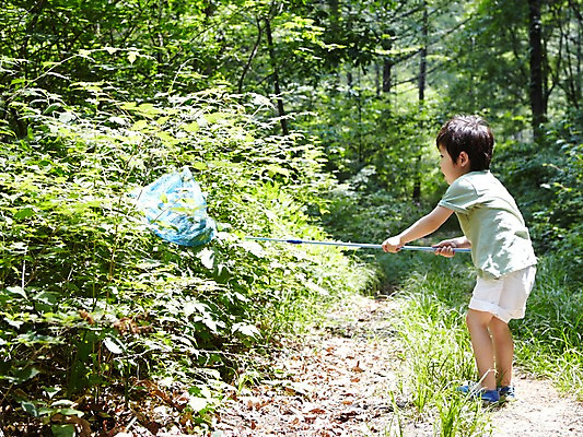 포토 JPG 주간 전신 나무 식물 라이프스타일 남자 어린이라이프 어린이 포즈 자연 한명 서기 들기 사람 동양인 소년 야외 라이프 옆모습 유치원생 한국인 관찰 체험학습 풀 숲 수집 곤충채집 자연학습 채집망 잠자리잡기 남자만 남자한명만 어린이만 소년만 소년한명만 국내포토 자연요소 1 뷰포인트 곤충 모션 인종 생활 체험 생태계 파일형식
