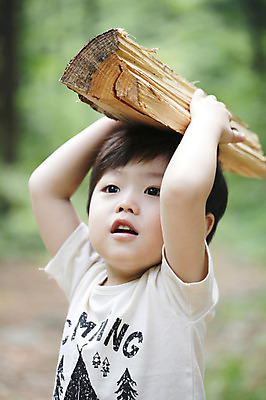 포토 JPG 주간 나무 식물 라이프스타일 응시 남자 어린이라이프 어린이 자연 한명 서기 들기 사람 동양인 소년 상반신 야외 라이프 아웃포커스 유치원생 한국인 관찰 체험학습 장작 나무토막 자연학습 토막 남자만 남자한명만 어린이만 소년만 소년한명만 국내포토 자연요소 1 시선 모션 촬영기법 인종 생활 체험 생태계 파일형식