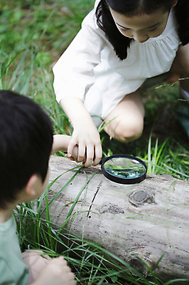 포토 JPG 주간 전신 나무 식물 라이프스타일 응시 여자 남자 어린이라이프 어린이 자연 돋보기 들기 사람 앉기 동양인 소녀 소년 야외 두명 라이프 유치원생 한국인 관찰 체험학습 풀 확대 통나무 나무토막 자연학습 어린이만 국내포토 자연요소 시선 모션 인종 생활 체험 생태계 파일형식