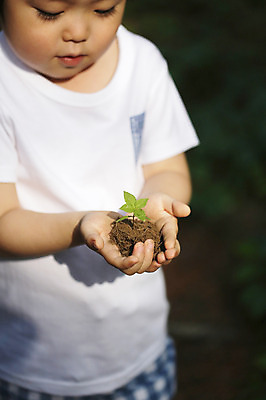 포토 JPG 주간 식물 라이프스타일 응시 남자 어린이라이프 어린이 자연 한명 서기 들기 사람 동양인 소년 상반신 야외 라이프 아웃포커스 새싹 자연보호 흙 유치원생 한국인 관찰 체험학습 풀 자연학습 남자만 남자한명만 어린이만 소년만 소년한명만 국내포토 자연요소 1 시선 모션 촬영기법 인종 생활 체험 보호 생태계 파일형식