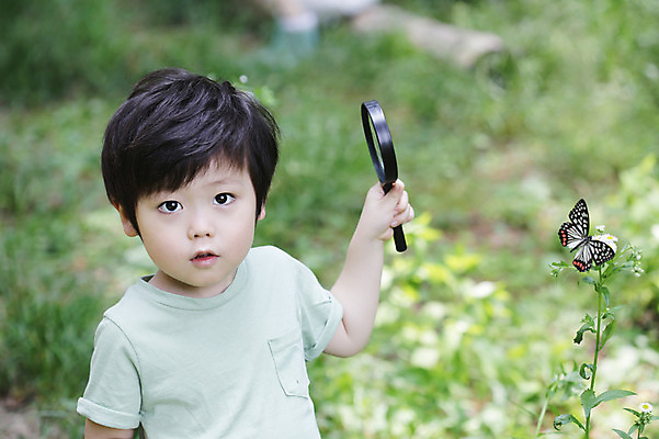 포토 JPG 주간 식물 동물 한마리 라이프스타일 남자 꽃 어린이라이프 어린이 나비 곤충 무늬 자연 돋보기 한명 서기 들기 사람 동양인 소년 상반신 야외 라이프 아웃포커스 유치원생 한국인 관찰 체험학습 풀 자연학습 호랑나비 남자만 남자한명만 어린이만 소년만 소년한명만 국내포토 자연요소 1 모션 촬영기법 인종 생활 체험 생태계 파일형식