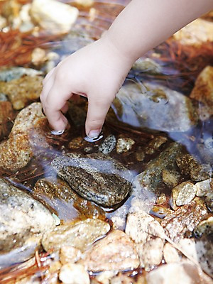 포토 JPG 주간 식물 손 어린이 포즈 손가락 자연 한명 사람 손짓 야외 신체부위 물 계곡 돌_바위 조약돌 나뭇가지 관찰 잡기 체험학습 개울 어린이만 국내포토 자연요소 나무 1 모션 강 체험 생태계 파일형식