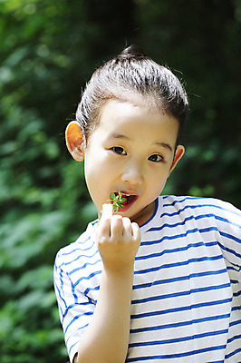 포토 JPG 주간 나무 식물 라이프스타일 여자 열매 어린이라이프 어린이 포즈 과일 자연 한명 서기 들기 사람 동양인 소녀 상반신 야외 라이프 아웃포커스 유치원생 한국인 관찰 체험학습 먹기 자연학습 여자만 여자한명만 어린이만 소녀만 소녀한명만 국내포토 자연요소 1 모션 촬영기법 인종 생활 체험 생태계 파일형식