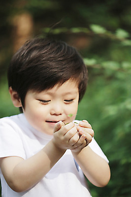 포토 JPG 주간 나무 식물 라이프스타일 응시 남자 어린이라이프 어린이 자연 한명 미소 웃음 들기 사람 동양인 소년 상반신 야외 라이프 아웃포커스 새싹 자연보호 흙 유치원생 한국인 관찰 체험학습 풀 자연학습 남자만 남자한명만 어린이만 소년만 소년한명만 국내포토 자연요소 1 시선 모션 촬영기법 표정 인종 생활 체험 보호 생태계 파일형식