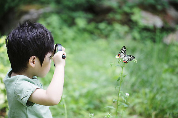 포토 JPG 주간 나무 동물 한마리 라이프스타일 응시 남자 꽃 어린이라이프 어린이 나비 곤충 무늬 자연 돋보기 한명 서기 들기 사람 동양인 소년 상반신 야외 라이프 아웃포커스 유치원생 한국인 관찰 체험학습 풀 자연학습 호랑나비 남자만 남자한명만 어린이만 소년만 소년한명만 국내포토 자연요소 식물 1 시선 모션 촬영기법 인종 생활 체험 생태계 파일형식