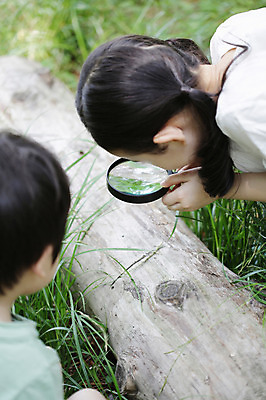 포토 JPG 주간 나무 식물 라이프스타일 응시 여자 남자 어린이라이프 어린이 자연 돋보기 들기 사람 앉기 동양인 소녀 소년 잔디 상반신 야외 두명 라이프 유치원생 한국인 관찰 체험학습 풀 확대 통나무 나무토막 자연학습 어린이만 국내포토 자연요소 시선 모션 인종 생활 체험 생태계 파일형식