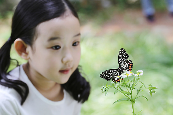 포토 JPG 주간 나무 식물 동물 한마리 라이프스타일 응시 여자 꽃 어린이라이프 어린이 나비 곤충 무늬 자연 한명 사람 앉기 동양인 소녀 근접촬영 상반신 야외 라이프 아웃포커스 유치원생 한국인 흰색 관찰 체험학습 풀 곤충채집 자연학습 호랑나비 여자만 여자한명만 어린이만 소녀만 소녀한명만 국내포토 자연요소 1 시선 뷰포인트 컬러 모션 촬영기법 인종 생활 체험 수집 생태계 파일형식