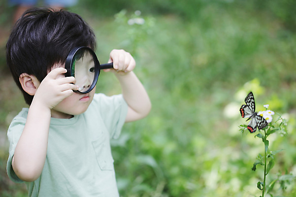 포토 JPG 주간 나무 식물 동물 한마리 라이프스타일 응시 남자 꽃 어린이라이프 어린이 나비 곤충 무늬 자연 돋보기 한명 서기 들기 사람 동양인 소년 상반신 야외 라이프 아웃포커스 유치원생 한국인 관찰 체험학습 풀 자연학습 호랑나비 남자만 남자한명만 어린이만 소년만 소년한명만 국내포토 자연요소 1 시선 모션 촬영기법 인종 생활 체험 생태계 파일형식