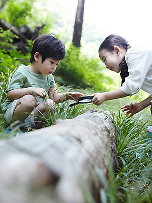 포토 JPG 주간 나무 식물 라이프스타일 여자 남자 어린이라이프 어린이 자연 돋보기 미소 웃음 들기 사람 앉기 동양인 소녀 소년 잔디 상반신 야외 두명 라이프 아웃포커스 유치원생 한국인 관찰 체험학습 풀 숲 통나무 나무토막 자연학습 어린이만 국내포토 자연요소 모션 촬영기법 표정 인종 생활 체험 생태계 파일형식