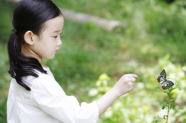 포토 JPG 주간 나무 식물 동물 한마리 라이프스타일 응시 여자 꽃 어린이라이프 어린이 나비 곤충 무늬 자연 한명 서기 사람 동양인 손짓 소녀 상반신 야외 라이프 옆모습 아웃포커스 손들기 유치원생 한국인 흰색 관찰 체험학습 풀 곤충채집 자연학습 호랑나비 여자만 여자한명만 어린이만 소녀만 소녀한명만 국내포토 자연요소 1 시선 뷰포인트 컬러 모션 촬영기법 인종 생활 체험 수집 생태계 파일형식