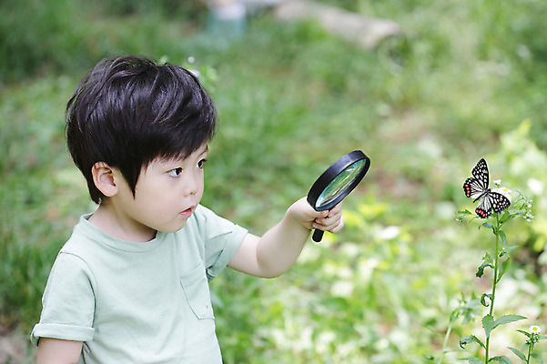 포토 JPG 주간 나무 식물 동물 한마리 라이프스타일 응시 남자 꽃 어린이라이프 어린이 나비 곤충 무늬 자연 돋보기 한명 서기 들기 사람 동양인 소년 상반신 야외 라이프 아웃포커스 유치원생 한국인 관찰 체험학습 풀 자연학습 호랑나비 남자만 남자한명만 어린이만 소년만 소년한명만 국내포토 자연요소 1 시선 모션 촬영기법 인종 생활 체험 생태계 파일형식