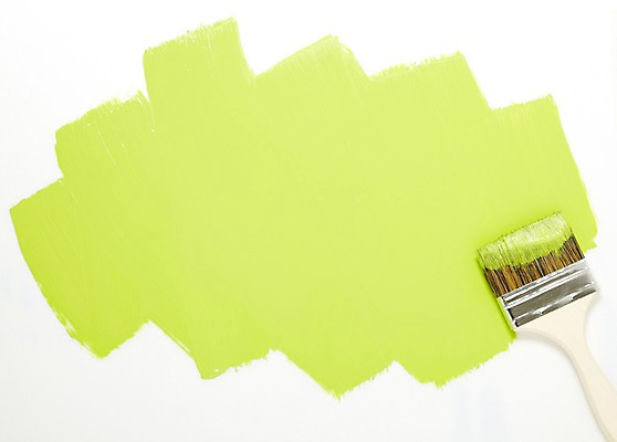 포토 JPG 스튜디오촬영 컬러 생활용품 백그라운드 페인팅 실내 사람없음 연두색 페인트 물감 미술도구 도구 붓 색칠 칠 페인트칠 페인트붓 페인팅도구 국내포토 내부 초록색 오브젝트 파일형식