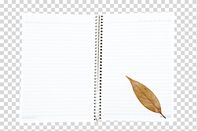 식물 편집 편집이미지 배너 계절 종이 백그라운드 낙엽 잎 나뭇잎 문구용품 안내 프레임 틀 사람없음 사무용품 공책 가을 알림 오브젝트 스프링노트 PNG 편집소스 파일형식