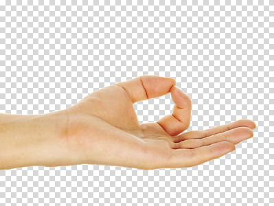 편집 편집이미지 손 신체 손가락 한명 손짓 신체부위 엄지손가락 검지손가락 최고 암호 OK 승낙 만족 전달 신호 긍정 PNG 편집소스 1 감정 컨셉 모션 사람 파일형식