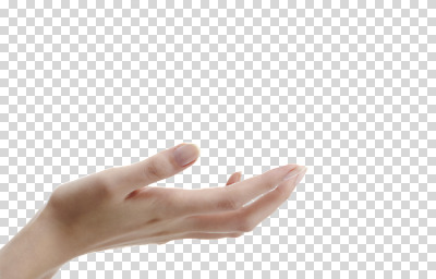 편집 편집이미지 손 신체 손가락 안내 한명 손짓 신체부위 알림 PNG 편집소스 1 모션 사람 파일형식