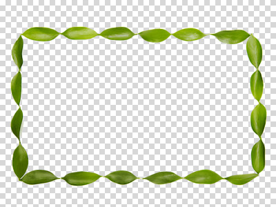 식물 편집 편집이미지 액자 백그라운드 잎 자연 사각프레임 프레임 틀 사람없음 식물백그라운드 PNG 편집소스 사각형 생태계 파일형식