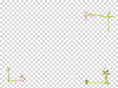 식물 편집 편집이미지 꽃 분홍색 액자 백그라운드 잎 자연 사각프레임 프레임 틀 사람없음 식물백그라운드 수국 PNG 편집소스 컬러 사각형 생태계 파일형식