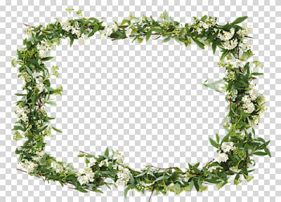 식물 편집 편집이미지 꽃 액자 백그라운드 잎 자연 사각프레임 프레임 틀 사람없음 흰색 식물백그라운드 PNG 편집소스 컬러 사각형 생태계 파일형식