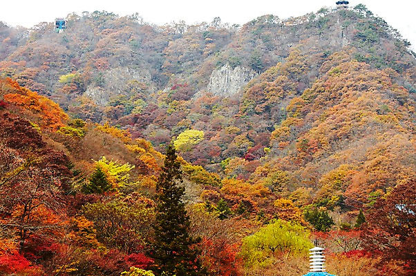 포토 JPG 주간 나무 식물 계절 교통수단 백그라운드 단풍 자연 단풍나무 산 풍경 사람없음 야외 가을풍경 가을 나뭇가지 사찰 정상 숲 전라북도 전라도 산등성이 정자 산속 내장산 케이블카 국내포토 자연요소 건축물 교통 잎 종교건축 한국 생태계 파일형식 가을_계절