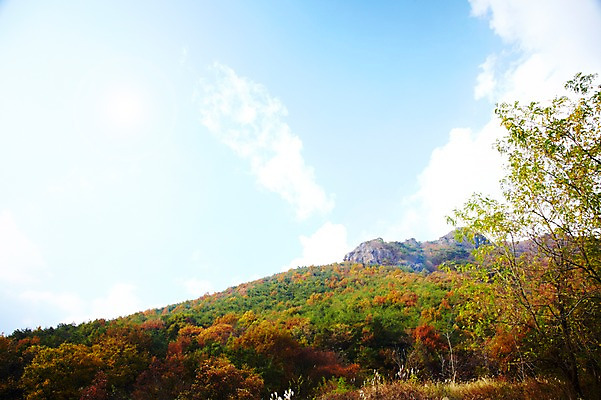 포토 JPG 주간 나무 식물 구름 계절 백그라운드 단풍 자연 하늘 단풍나무 산 풍경 사람없음 야외 가을풍경 가을 숲 전라북도 전라도 산속 내장산 국내포토 자연요소 잎 한국 생태계 파일형식 가을_계절