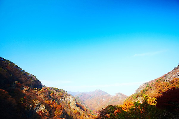 포토 JPG 주간 나무 식물 계절 백그라운드 단풍 자연 하늘 단풍나무 산 풍경 사람없음 야외 가을풍경 가을 전라북도 전라도 산등성이 내장산 국내포토 자연요소 잎 한국 생태계 파일형식 가을_계절