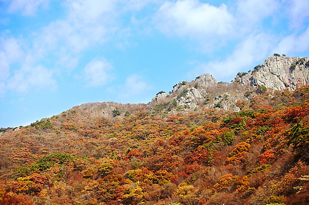 포토 JPG 주간 나무 식물 구름 계절 백그라운드 단풍 자연 하늘 단풍나무 산 풍경 사람없음 야외 가을풍경 가을 돌_바위 바위 정상 전라북도 전라도 산등성이 내장산 국내포토 자연요소 잎 한국 생태계 파일형식 가을_계절