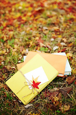 포토 JPG 주간 식물 계절 백그라운드 단풍 낙엽 잎 자연 풍경 근접촬영 사람없음 야외 아웃포커스 책 독서 쌓기 가을 풀 오브젝트 여러권 국내포토 자연요소 뷰포인트 다수 모션 촬영기법 생태계 파일형식