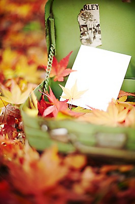 포토 JPG 주간 식물 배너 계절 종이 백그라운드 단풍 낙엽 잎 가방 자연 안내 사각프레임 프레임 광고판 알림판 풍경 근접촬영 사람없음 야외 아웃포커스 가을 메모지 오픈 알림 오브젝트 철가방 국내포토 자연요소 잡화 뷰포인트 촬영기법 사각형 사무용품 생태계 판 파일형식