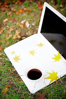 포토 JPG 주간 식물 계절 커피 음료 백그라운드 단풍 잎 자연 잔 풍경 근접촬영 잔디 사람없음 야외 아웃포커스 노트북 컴퓨터 가을 풀 커피잔 찻잔 오브젝트 국내포토 자연요소 식기 뷰포인트 촬영기법 전자제품 생태계 파일형식