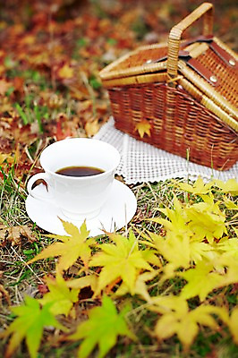 포토 JPG 주간 식물 계절 커피 음료 백그라운드 단풍 낙엽 잎 가방 자연 잔 풍경 근접촬영 잔디 사람없음 야외 아웃포커스 컵 소풍 바구니 가을 풀 커피잔 컵받침 오브젝트 국내포토 자연요소 식기 잡화 뷰포인트 촬영기법 야외활동 받침대 생태계 파일형식