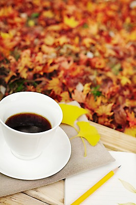 포토 JPG 주간 식물 계절 여유 커피 음료 백그라운드 단풍 낙엽 잎 자연 탁자 티타임 휴식 잔 풍경 근접촬영 사람없음 야외 아웃포커스 컵 필기구 연필 공책 식탁보 가을 커피잔 컵받침 오브젝트 국내포토 자연요소 식기 감정 뷰포인트 가구 컨셉 문구용품 학용품 촬영기법 받침대 생태계 파일형식