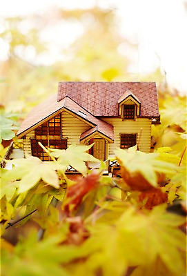 포토 JPG 주간 식물 건축물 계절 백그라운드 단풍 낙엽 잎 자연 주택 풍경 근접촬영 사람없음 야외 건물 아웃포커스 장난감 모형 미니어처 가을 오브젝트 한채 국내포토 자연요소 1 건축 뷰포인트 촬영기법 생태계 파일형식