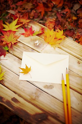 포토 JPG 주간 식물 계절 백그라운드 단풍 낙엽 잎 자연 탁자 봉투 편지봉투 풍경 근접촬영 사람없음 야외 아웃포커스 필기구 연필 가을 편지 오브젝트 국내포토 카드프레임 자연요소 뷰포인트 가구 문구용품 학용품 프레임 촬영기법 생태계 파일형식