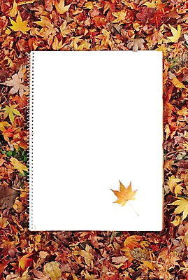 포토 JPG 주간 식물 배너 계절 종이 백그라운드 단풍 낙엽 잎 자연 안내 사각프레임 프레임 광고판 알림판 풍경 사람없음 야외 하이앵글 공책 봄 가을 알림 오브젝트 국내포토 자연요소 뷰포인트 문구용품 사각형 생태계 판 파일형식