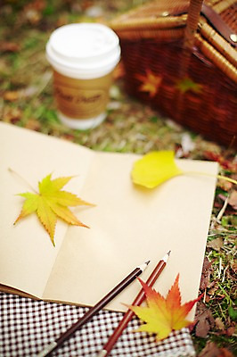 포토 JPG 주간 식물 계절 커피 음료 백그라운드 단풍 낙엽 잎 가방 자연 색연필 풍경 근접촬영 사람없음 야외 아웃포커스 컵 필기구 연필 소풍 바구니 공책 가을 풀 종이컵 오브젝트 은행잎 테이크아웃 국내포토 자연요소 식기 잡화 뷰포인트 문구용품 학용품 촬영기법 야외활동 일회용 생태계 파일형식