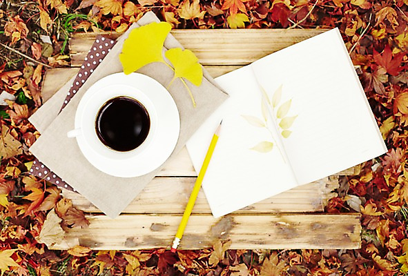 포토 JPG 주간 식물 배너 계절 커피 음료 백그라운드 단풍 낙엽 잎 자연 티타임 휴식 잔 안내 사각프레임 프레임 광고판 알림판 풍경 사람없음 야외 컵 하이앵글 필기구 연필 공책 펼침 가을 커피잔 컵받침 알림 오브젝트 은행잎 국내포토 자연요소 식기 뷰포인트 컨셉 모션 문구용품 학용품 사각형 받침대 생태계 판 파일형식