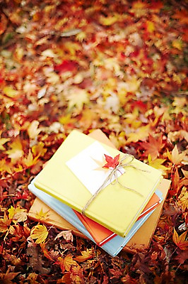 포토 JPG 주간 식물 계절 백그라운드 단풍 낙엽 잎 자연 풍경 근접촬영 사람없음 야외 아웃포커스 책 독서 쌓기 가을 오브젝트 여러권 국내포토 자연요소 뷰포인트 다수 모션 촬영기법 생태계 파일형식