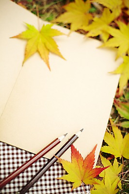 포토 JPG 주간 식물 배너 계절 백그라운드 단풍 낙엽 잎 자연 색연필 안내 사각프레임 프레임 광고판 알림판 풍경 근접촬영 사람없음 야외 아웃포커스 필기구 연필 공책 가을 알림 오브젝트 국내포토 자연요소 뷰포인트 문구용품 학용품 촬영기법 사각형 생태계 판 파일형식