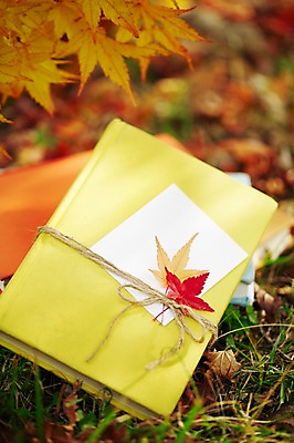 포토 JPG 주간 식물 계절 리본 줄 백그라운드 단풍 낙엽 잎 자연 풍경 근접촬영 사람없음 야외 아웃포커스 책 독서 가을 메모지 풀 오브젝트 여러권 국내포토 자연요소 뷰포인트 다수 촬영기법 사무용품 생태계 파일형식