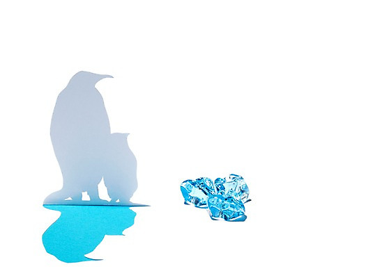 포토 JPG 스튜디오촬영 모양 동물 종이 조각 백그라운드 두마리 조류 실내 그림자 사람없음 모형 얼음 페이퍼아트 종이공예 펭귄 동물모양 종이팝업 얼음조각 국내포토 자연요소 2 내부 공예 파일형식