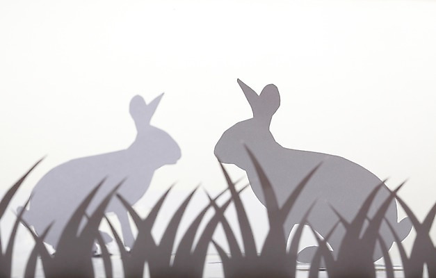 포토 JPG 스튜디오촬영 모양 식물 동물 종이 백그라운드 두마리 포유류 초식동물 실내 그림자 잔디 초원 사람없음 모형 토끼 풀 페이퍼아트 종이공예 동물모양 종이팝업 반려 국내포토 2 내부 반려동물 공예 파일형식