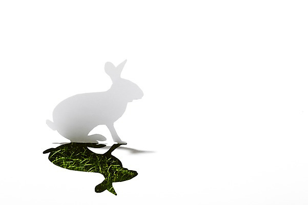 포토 JPG 스튜디오촬영 모양 식물 동물 한마리 종이 백그라운드 포유류 초식동물 실내 그림자 잔디 초원 사람없음 모형 토끼 풀 페이퍼아트 종이공예 동물모양 종이팝업 반려 국내포토 1 내부 반려동물 공예 파일형식