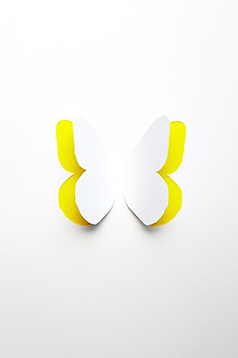 포토 JPG 스튜디오촬영 모양 동물 한마리 종이 컬러 나비 곤충 백그라운드 무늬 날개 실내 사람없음 노란색 모형 페이퍼아트 종이공예 동물모양 종이팝업 국내포토 1 내부 공예 파일형식