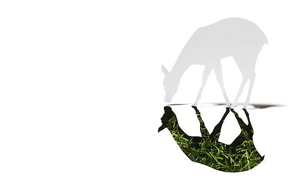 포토 JPG 스튜디오촬영 모양 동물 한마리 종이 백그라운드 포유류 초식동물 사슴 실내 그림자 잔디 초원 사람없음 모형 풀 페이퍼아트 종이공예 동물모양 종이팝업 국내포토 식물 1 내부 공예 파일형식