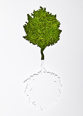 포토 JPG 스튜디오촬영 모양 나무 식물 종이 컬러 백그라운드 실내 한그루 그림자 잔디 사람없음 연두색 모형 풀 페이퍼아트 종이공예 종이팝업 국내포토 1 내부 초록색 공예 파일형식