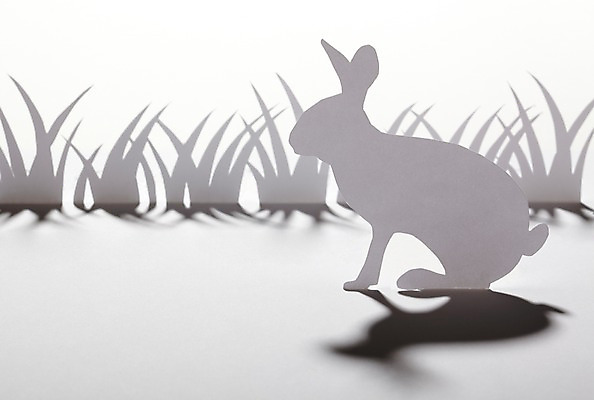 포토 JPG 스튜디오촬영 모양 식물 동물 한마리 종이 백그라운드 실내 그림자 잔디 초원 사람없음 모형 토끼 풀 페이퍼아트 종이공예 동물모양 종이팝업 반려 국내포토 1 포유류 내부 반려동물 공예 파일형식